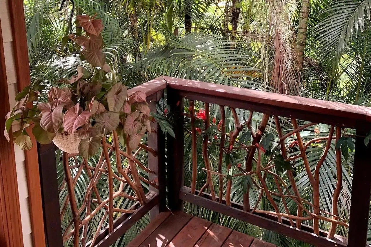 Phoenix Garden Pahoa Penzion