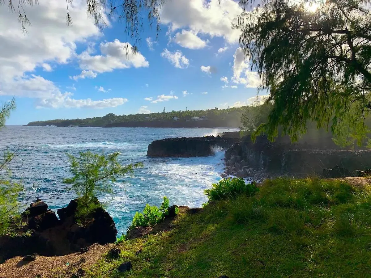 Penzion Phoenix Garden Pahoa